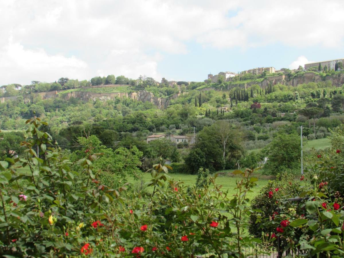 Casa Angolo Delle Rose Орвието Экстерьер фото
